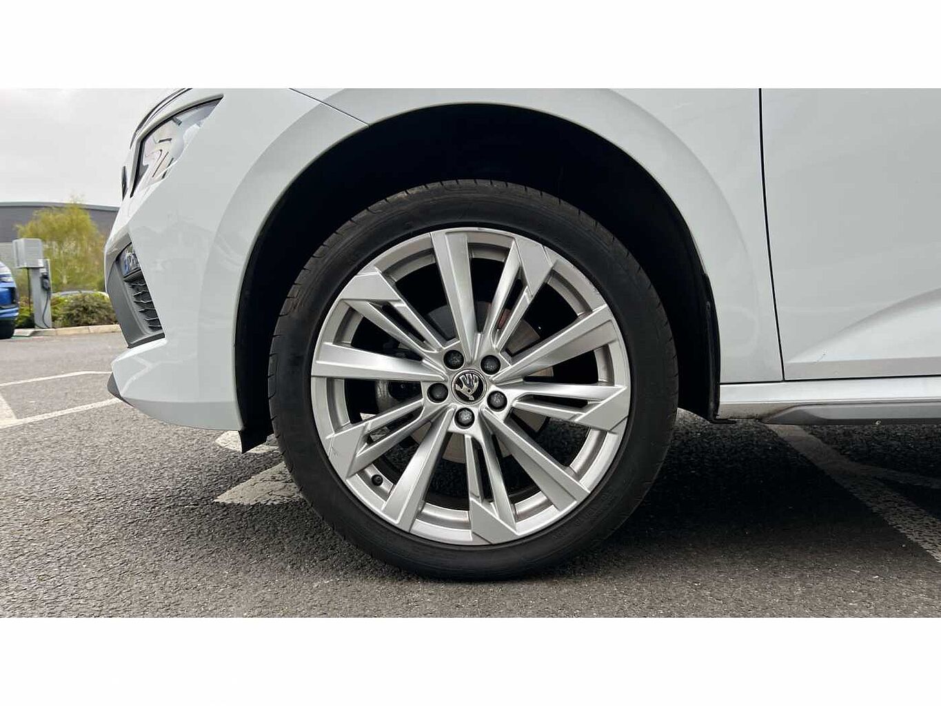 SKODA KAMIQ SE L 1.0 TSI 116 PS 6G Man