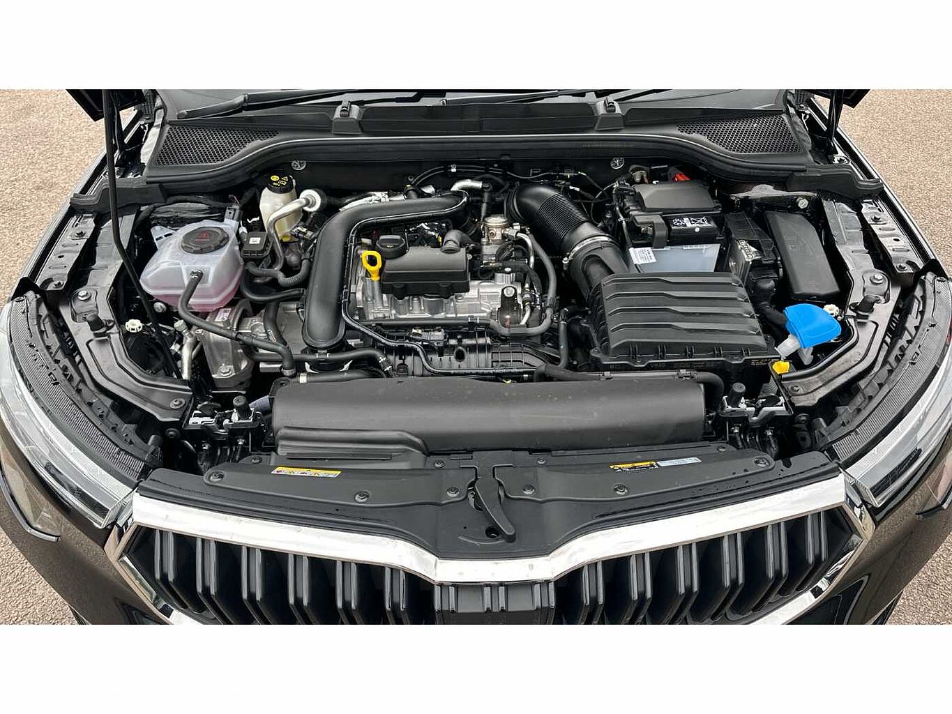 SKODA KAMIQ 1.0 TSI SE L 5dr DSG